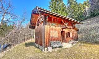 Maison 3 Pièces 65 m² à vendre à Montriond (74110)
