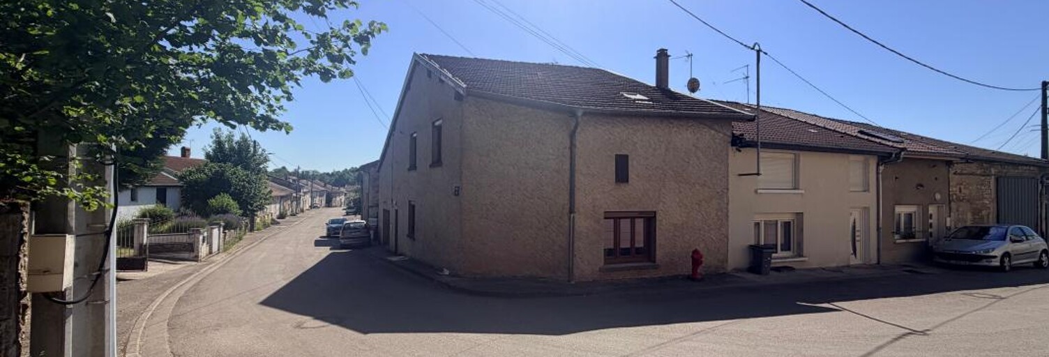 Maison 4 Pièces 115 m² à vendre à Dammarie-sur-Saulx (55500)