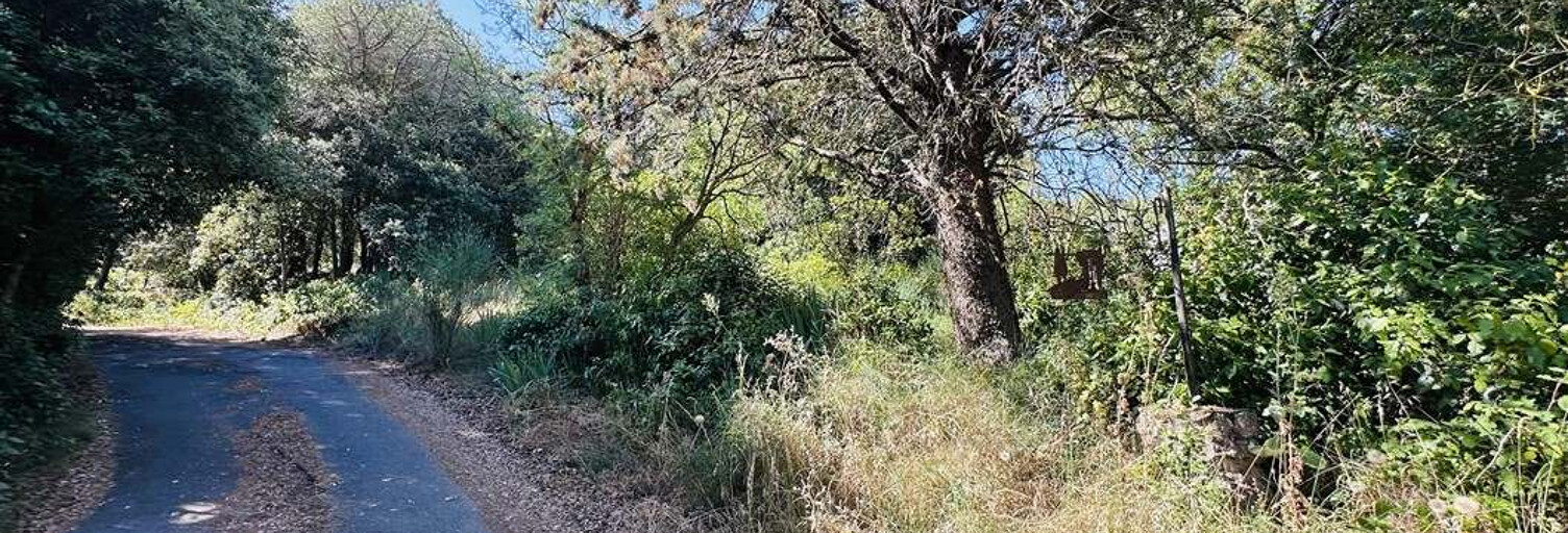 Terrain  1 m² à vendre à Palaja (11570)