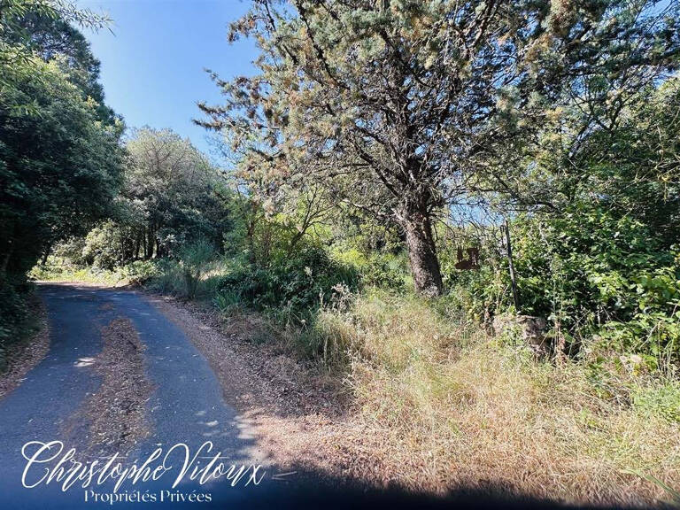 Terrain viabilisé - 2500m2 - 11570 PALAJA — photo 1