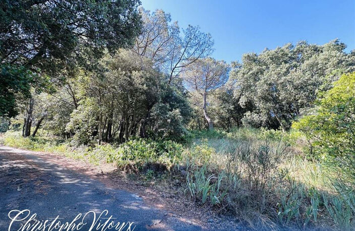 Terrain viabilisé - 2500m2 - 11570 PALAJA — photo 2