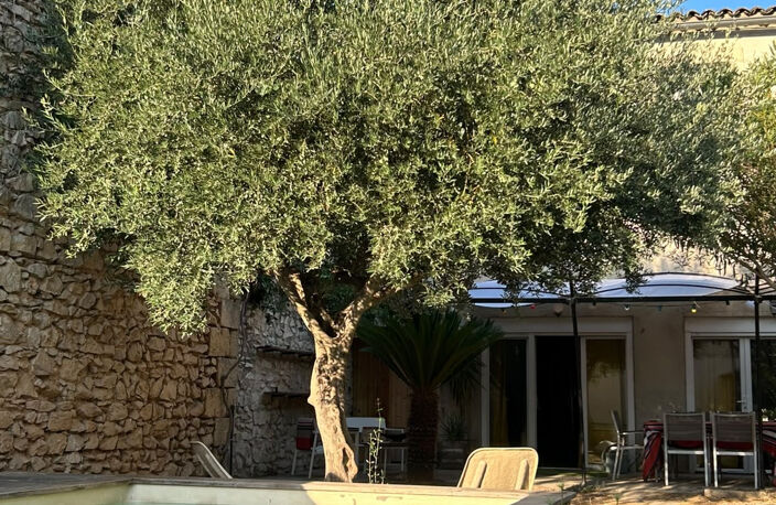 Vergèze 150 m de la gare , en exclusivité Maison de village — photo 3