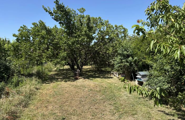 A Vendre  CARPENTRAS — photo 4