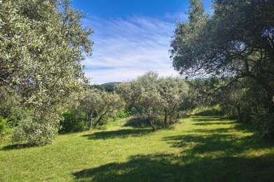 Terrain  150000 €