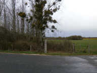 TERRAIN LIBRE POUR GARDE D'ANIMEAUX OU LOISIRS A VOIR... — photo 2