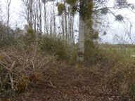 TERRAIN LIBRE POUR GARDE D'ANIMEAUX OU LOISIRS A VOIR... — photo 4
