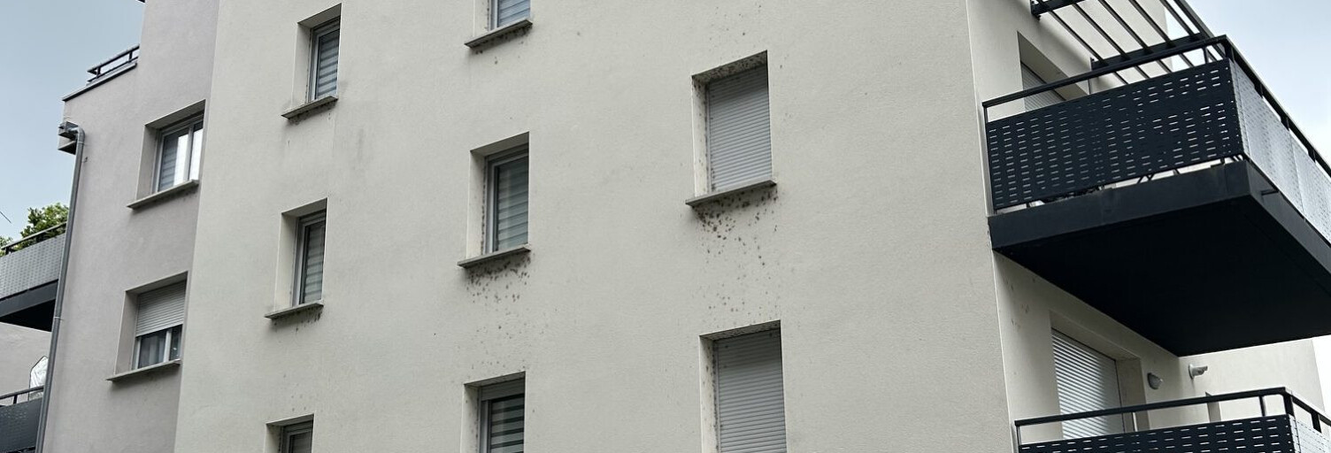 Appartement 3 Pièces 60 m² à louer à Toulouse (31300)