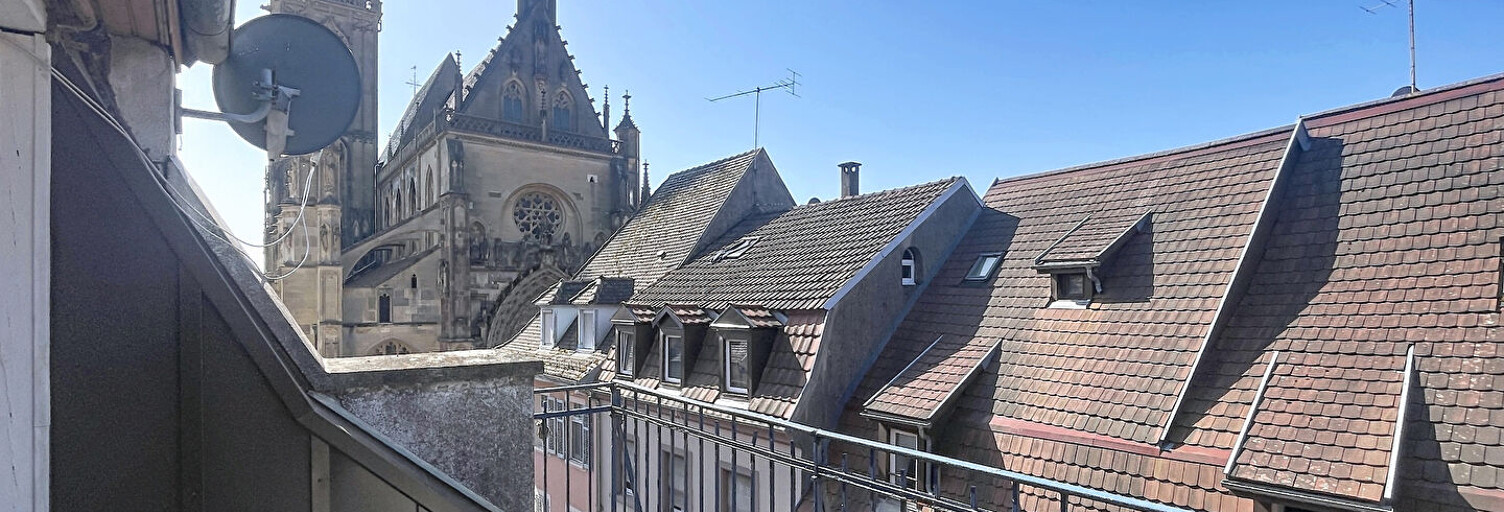 Appartement 3 Pièces 53 m² à louer à Thann (68800)