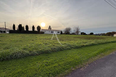 Terrain  25000 €