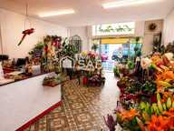 Fonds floral avec Interflora en centre-ville — photo 2