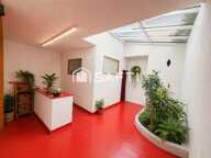 Fonds floral avec Interflora en centre-ville — photo 4