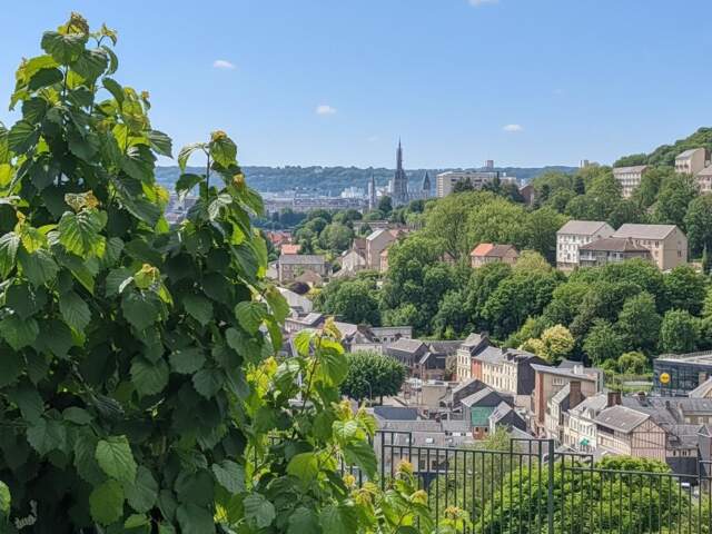 Au calme vue dégagée avec extérieur — photo du bien
