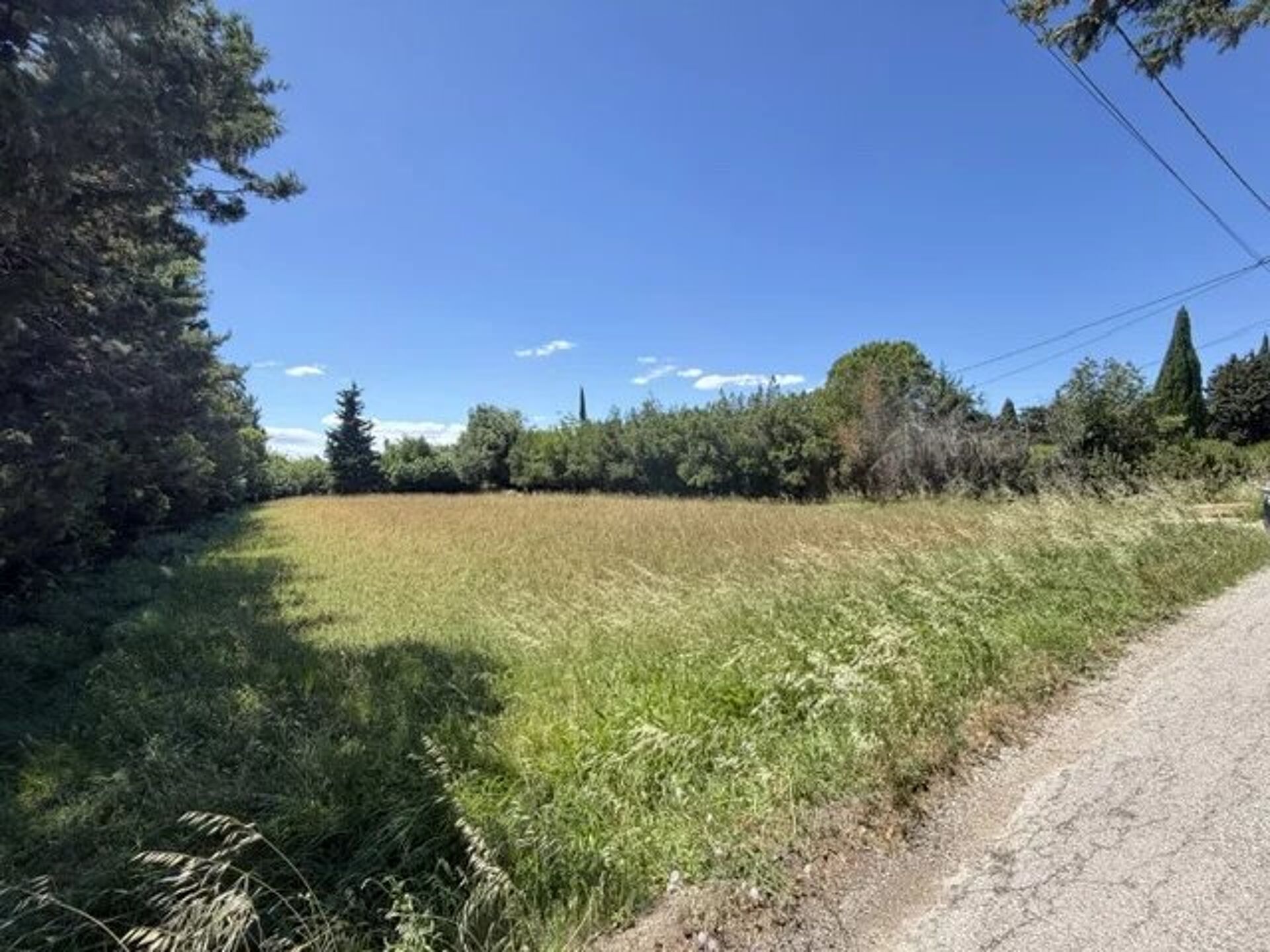 Location Terrain 4000 m2 à Salon-de-Provence · 1 650 €/mois