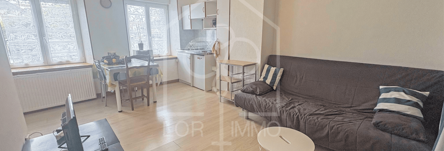 Appartement 1 Pièce 32 m² à louer à Château-Salins (57170)