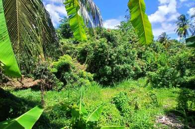 Terrain  150000 €