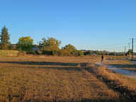 Rabastens Terrain de 941 m2  Plat Proche de toutes commodités — photo 4
