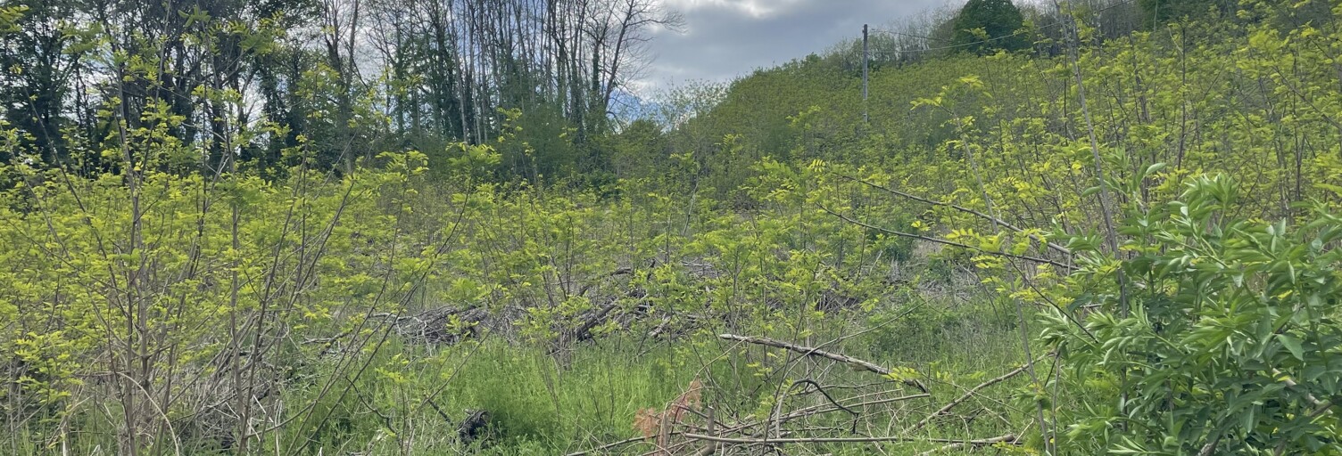 Terrain  1528 m² à vendre à Sarlat-la-Canéda (24200)