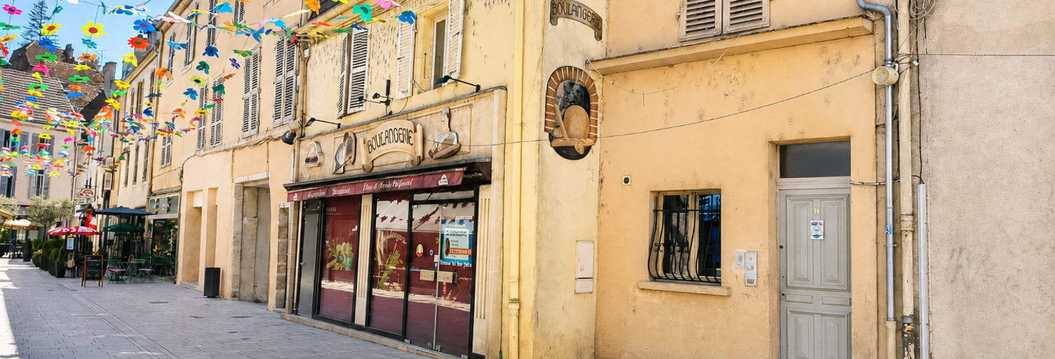 Divers 14 Pièces 365 m² à vendre à Gray (70100)