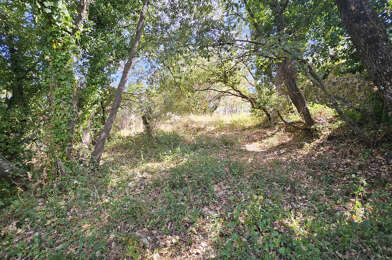 Terrain  399000 €