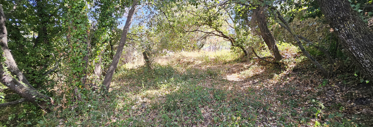 Terrain  2955 m² à vendre à Gattières (06510)