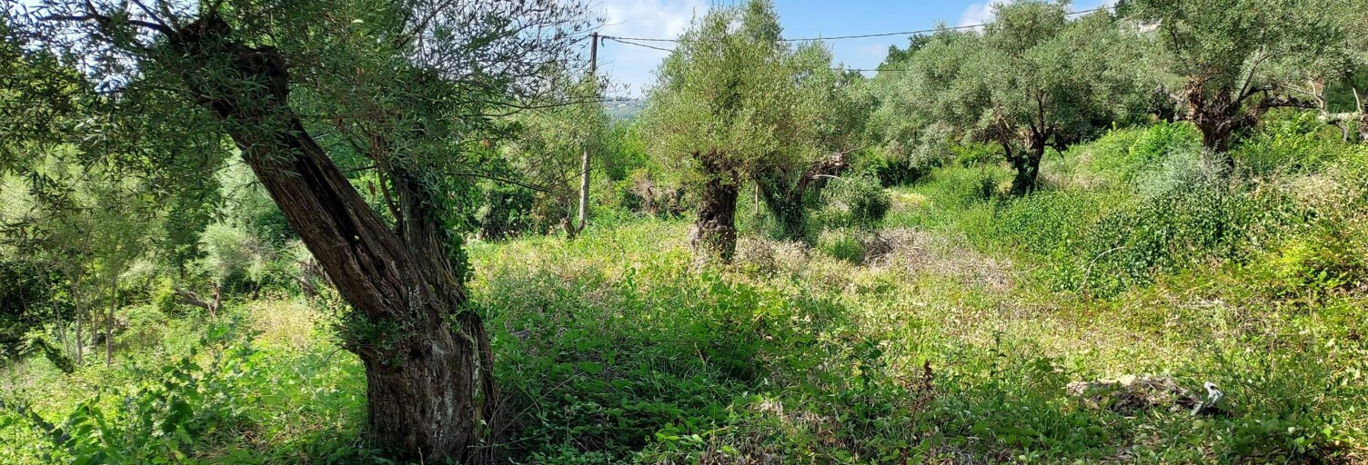 Terrain  2052 m² à vendre à Montauroux (83440)