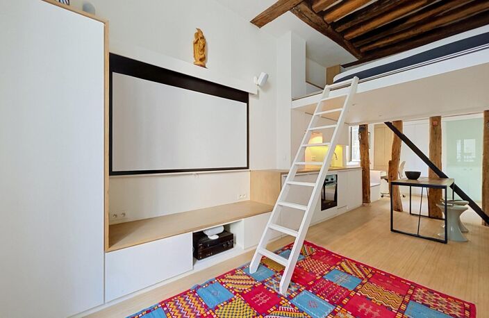 PETIT LOFT ATYPIQUE 3M50 SOUS PLAFOND À 2 PAS DE BASTILLE — photo 3