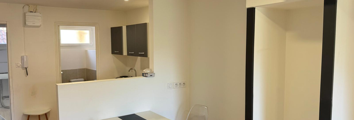 Appartement 1 Pièce 22 m² à louer à Annonay (07100)