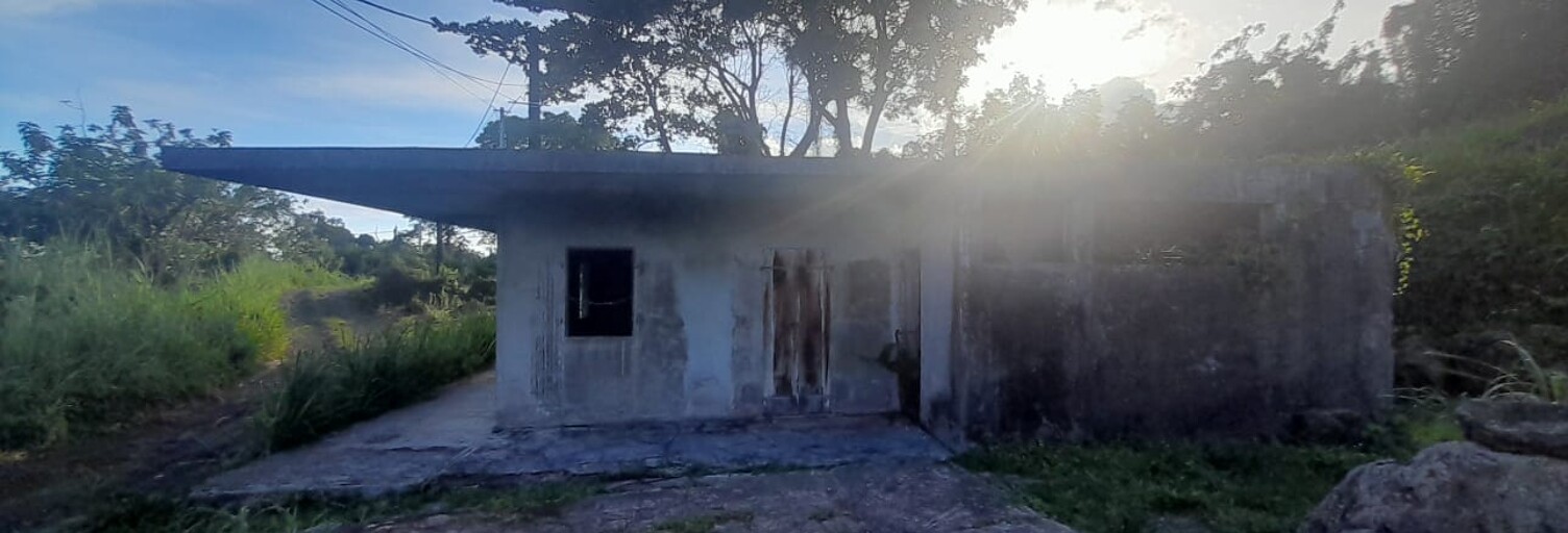 Photo N° 2