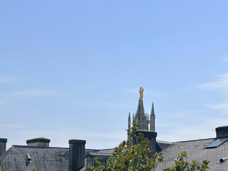 EXCLUSIVITÉ -- Bordeaux Saint-Pierre : Rare T3 lumineux avec — photo 1