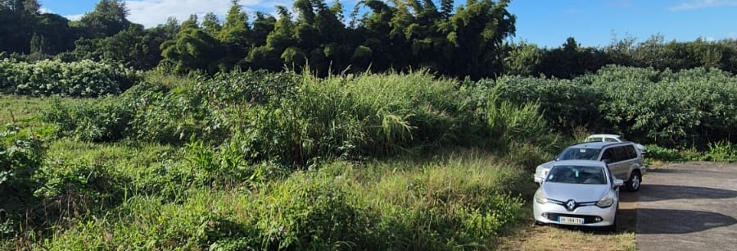 Terrain  550 m² à vendre à Le Tampon (97430)