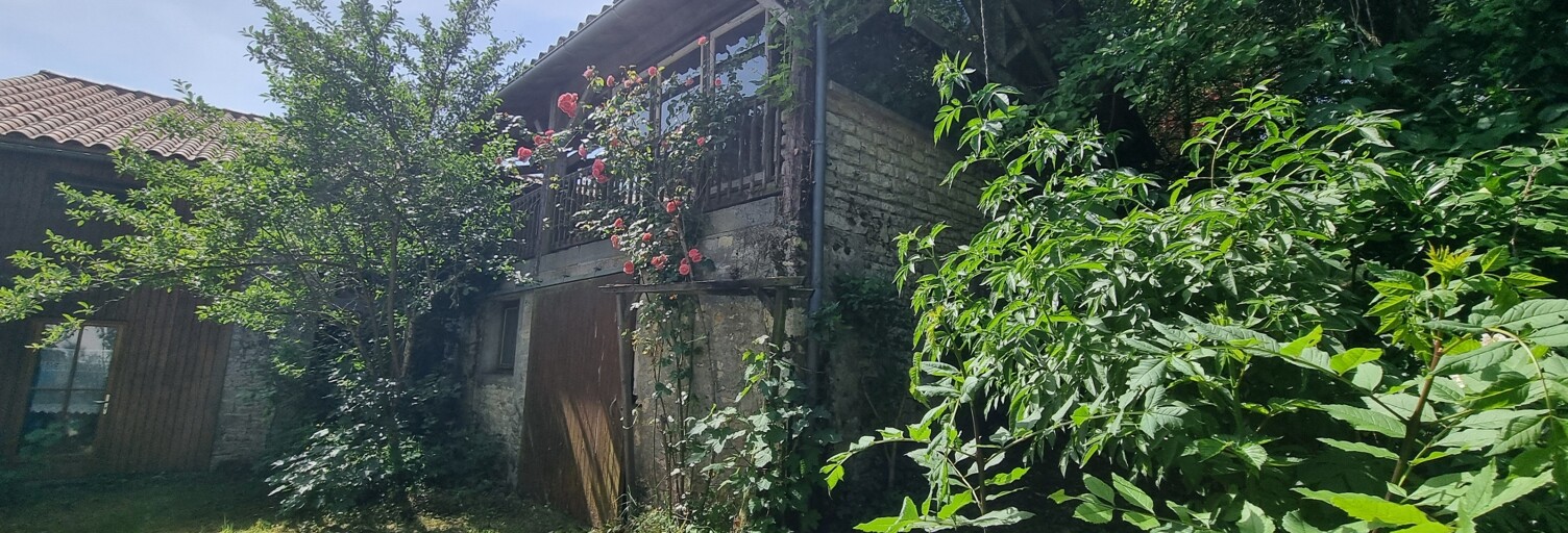 Photo N° 2