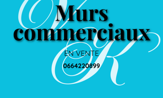 Commerce  132 m² à vendre à Josnes (41370)