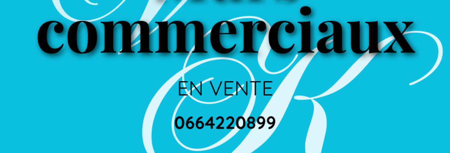 Commerce  132 m² à vendre à Josnes (41370)