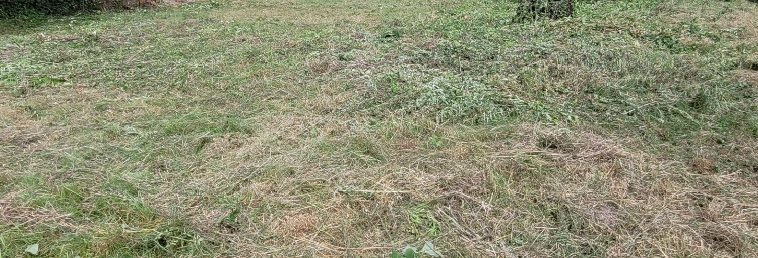Terrain  733 m² à vendre à Athies-sous-Laon (02840)