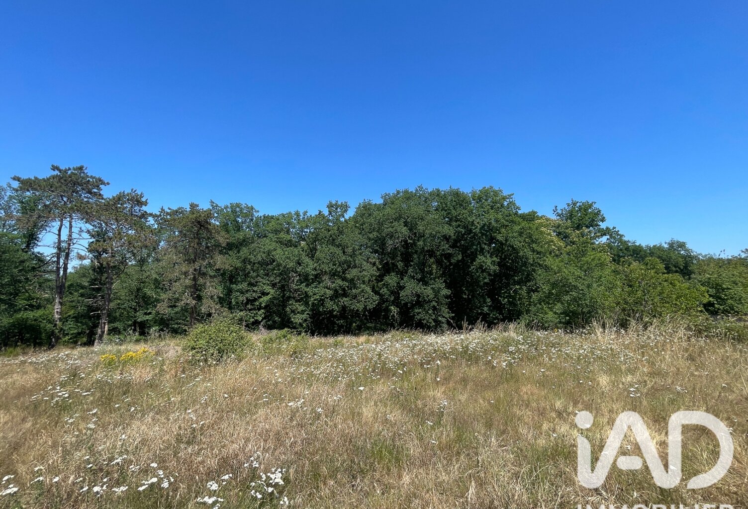 Vente Terrain à bâtir 14 378 m&sup2; — photo 1