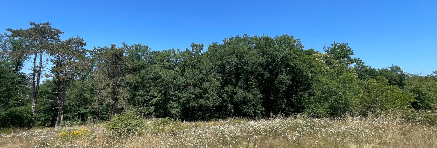 Terrain  14378 m² à vendre à Ussac (19270)