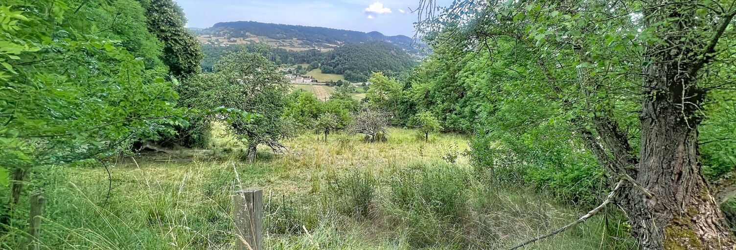 Terrain  1433 m² à vendre à Polignac (43000)