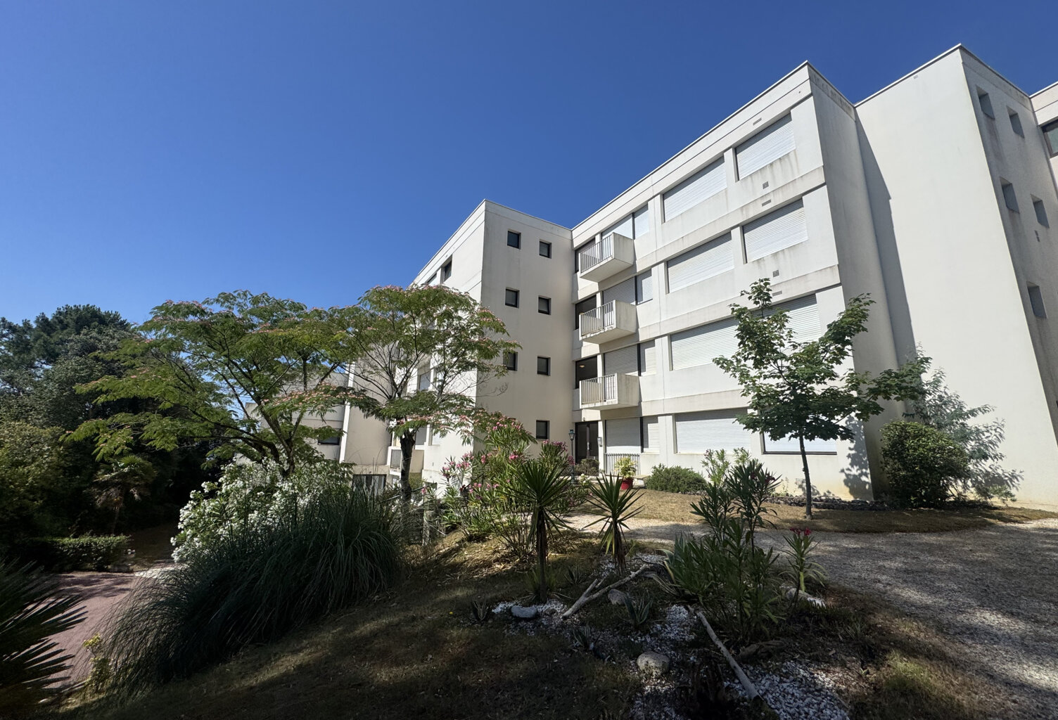 ROYAN — photo 1