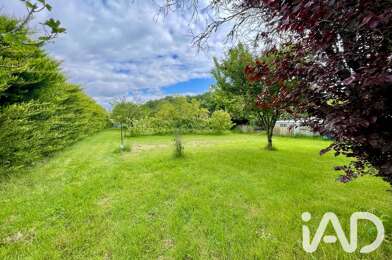Terrain  250000 €