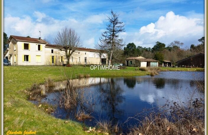 ensemble de 2 maisons+ dependances + grand terrain + point d'eau — photo 2