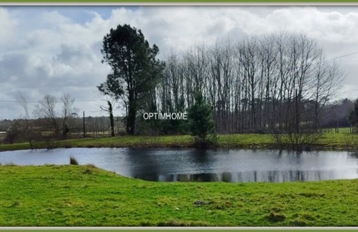 ensemble de 2 maisons+ dependances + grand terrain + point d'eau — photo 4