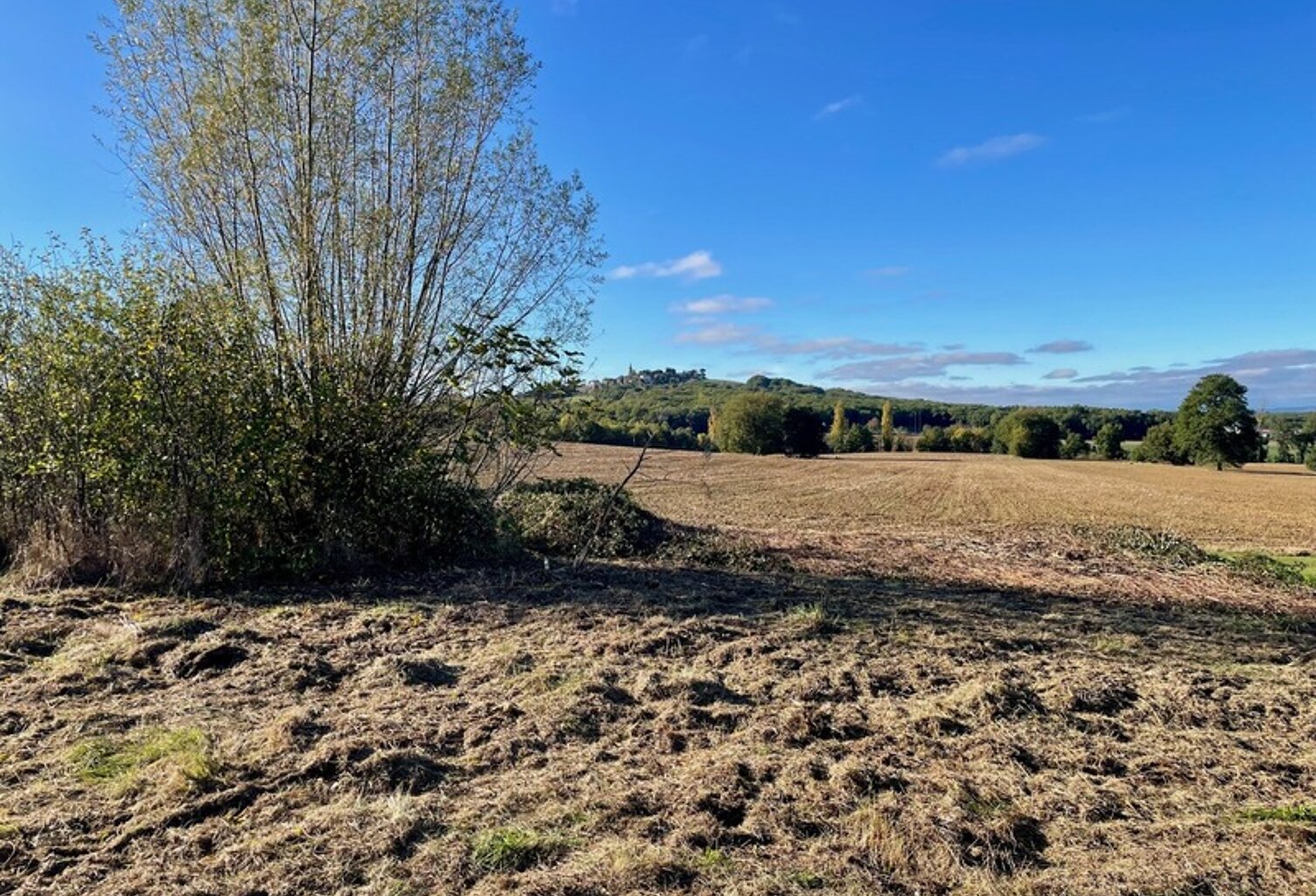 EXCLUSIVITÉ - TERRAIN 1000 m2 - PAULHAC — photo 1