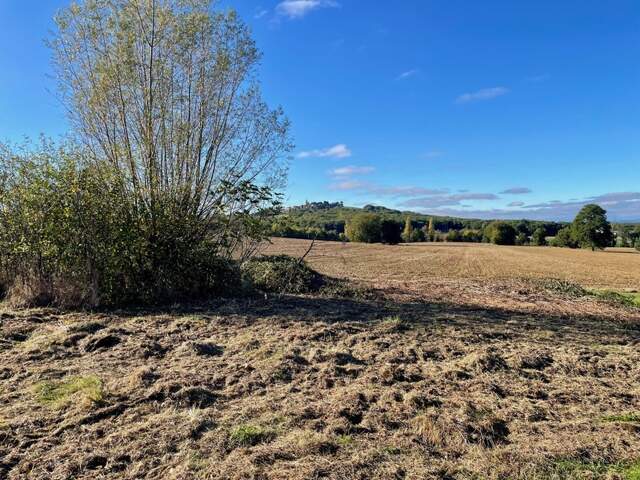 EXCLUSIVITÉ - TERRAIN 1000 m2 - PAULHAC — photo du bien