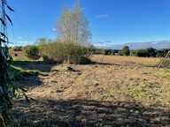 EXCLUSIVITÉ - TERRAIN 1000 m2 - PAULHAC — photo 3