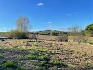 EXCLUSIVITÉ - TERRAIN 1000 m2 - PAULHAC — photo 4