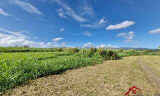 Terrain  590 m² à vendre à Lamentin (97129)