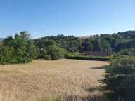 CASTRES HAMEAU DE LA VERDARIE — photo 3