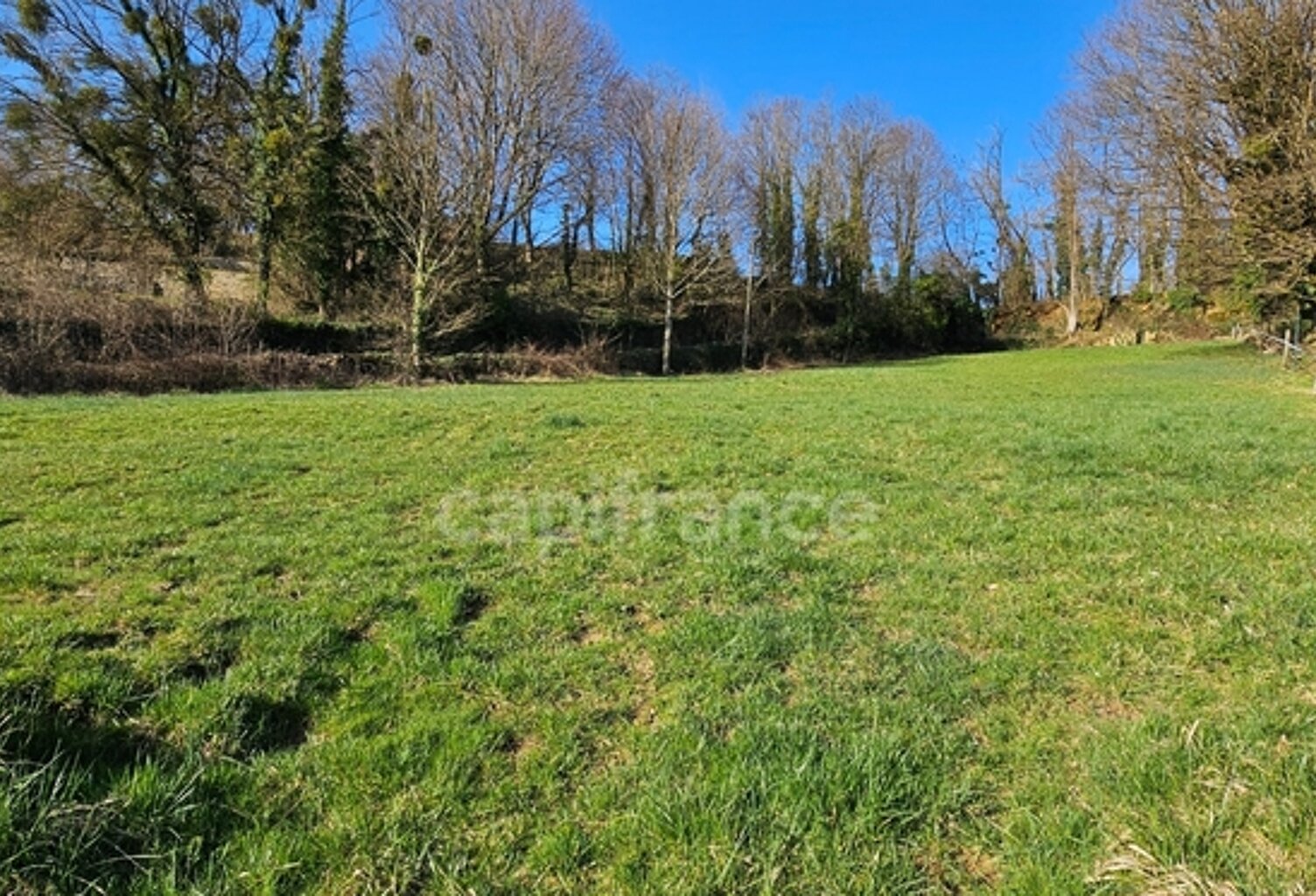 A vendre - Terrain à bâtir de 2000m2, vue panoramique - Calme, nature et exposition idéale en ARBOIS (39600) — photo 1