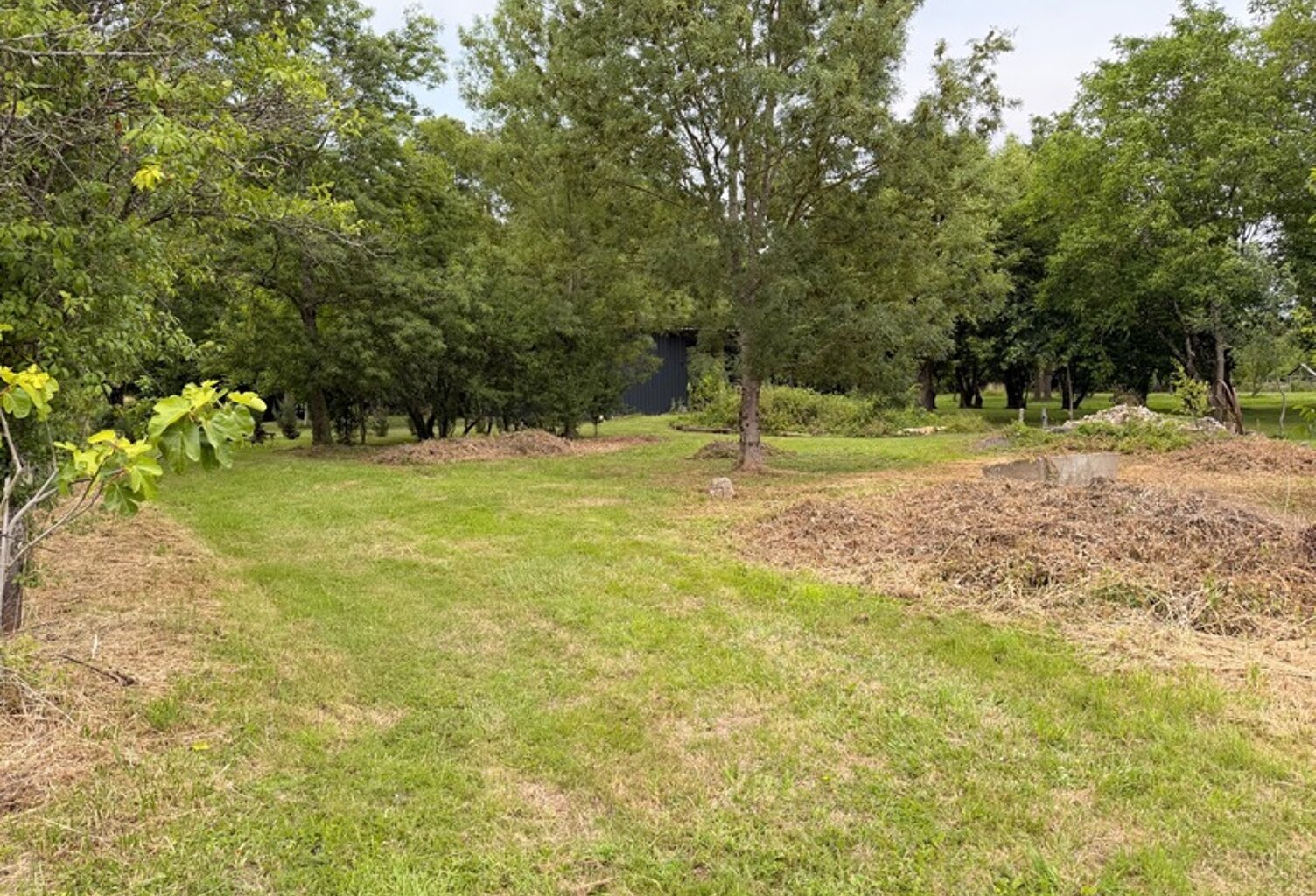 Terrain à vendre  LAMARCHE SUR SAONE (21) — photo 1