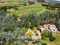 Propriété d’Exception – Domaine Privé en AOP Cornas // L’Art de Vivre, l’Élégance et la Nature en Harmonie — photo 4